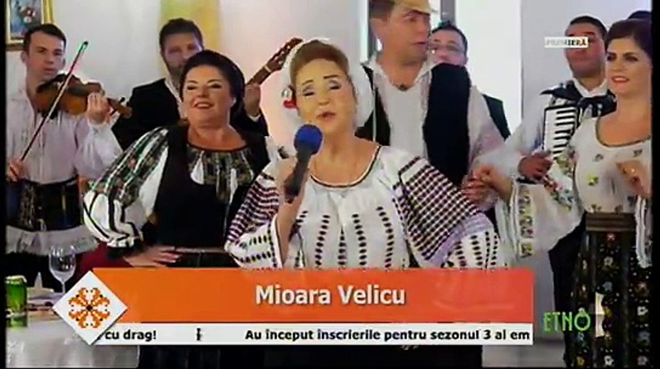 Mioara Velicu - Crenguta de lemn uscat