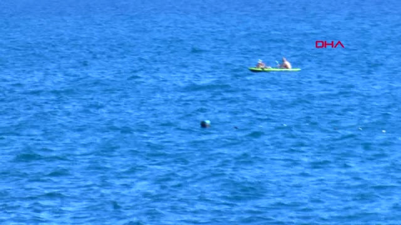 Antalya Konyaaltı Sahilindeki O Orkinos Yakalandı