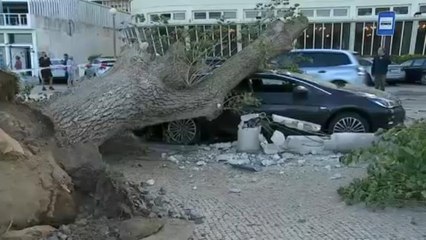 Tempestade Leslie: O rescaldo