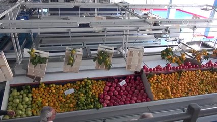 Hibe Desteği Alan Ev Kadını Patron Oldu