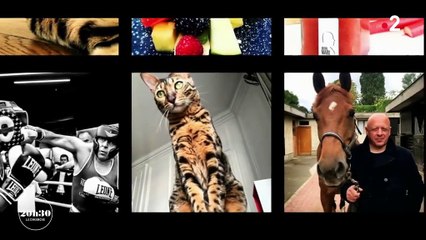 "20h30 le dimanche" : le portrait du chef Thierry Marx