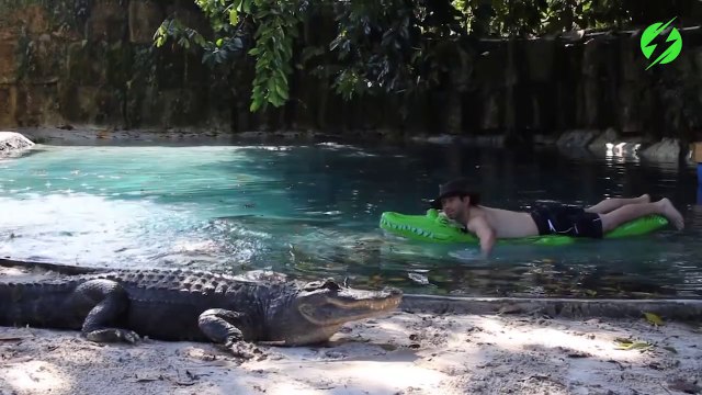 Cet homme se baigne avec 2 crocodiles dans sa piscine...