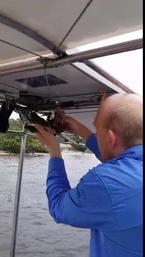 Il trouve un serpent bien caché dans ce bateau