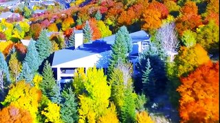 El otoño en Utah tiene colores inimaginables.Créditos: Canal de Youtube