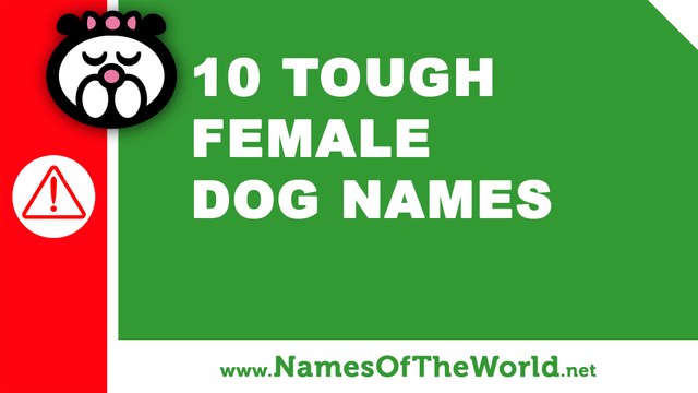 10 tough female dogs names - the best pet names - namesoftheworld.net