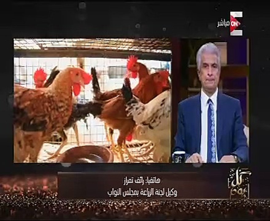 نائب برلمانى :قانون منع تداول الطيور الحية فى صالح المواطن وتطبيقه الآن غير ملائم