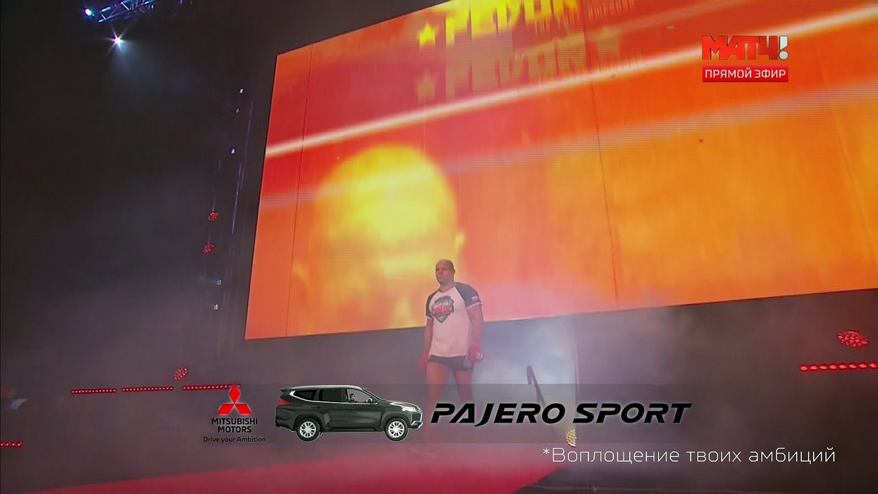 Федор Емельяненко - Чел Соннен