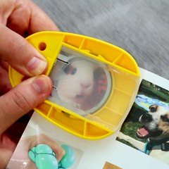 Retro schoolyard games to make even the oldest feel young again 