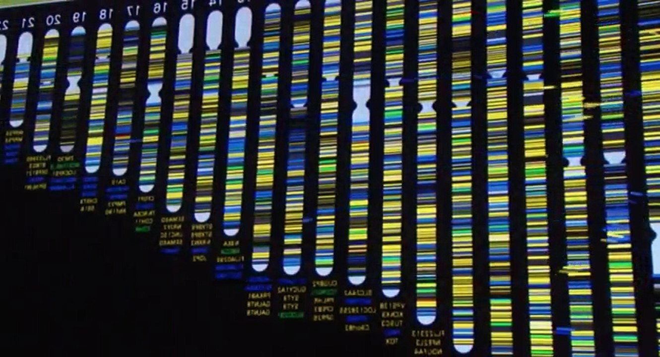 Finding Your Roots with Henry Louis Gates Jr S04 - Ep04 The Vanguard -. Part 02 HD Watch