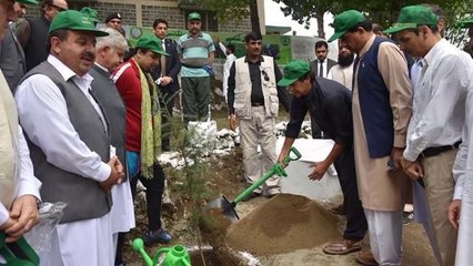 Imran Khan Jharu Dety Huay _ Clean And Green Pakistan _ Limelight Studio