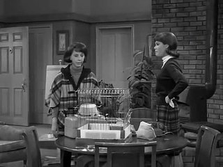 The Dick Van Dyke Show S03 E30