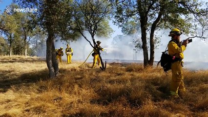 Firefighters battle 38-acre Masonic Fire