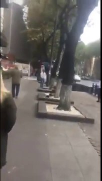 لقاء مؤثر بين كلب وصاحب بعد فراق 3 سنوات