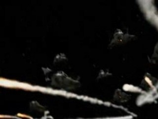 Battlestar Galactica-Trailer-Xbox360