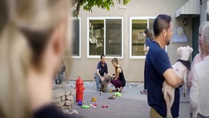 Female Fight Club 2016         Pt 01