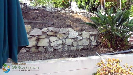 Landscape Cleanup Services with  SB Evolution Landscape