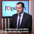 « La Commission européenne veut imposer ses choix politiques aux nations », estime Nicolas Bay (RN)