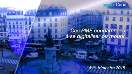 Ces PME condamnées à se digitaliser ou mourir [Olivier Passet]
