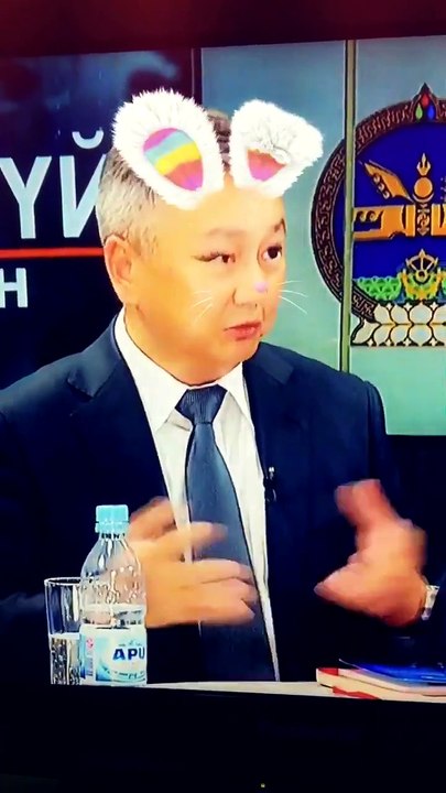Хөөрхөн хөгшин туулай аймар аймар л юм яриад бна шүү...
