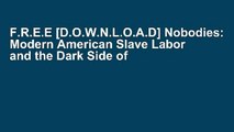 F.R.E.E [D.O.W.N.L.O.A.D] Nobodies: Modern American Slave Labor and the Dark Side of the New