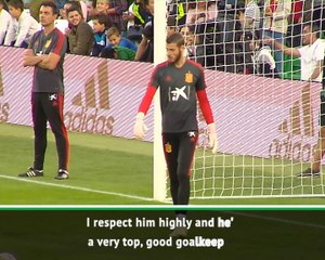De Gea still one of the best despite recent form - Pickford