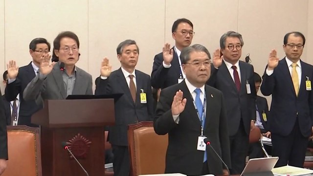교육위 국감 '유치원 비리' 감사 문제 지적 / YTN