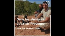 Aix-en-Provence: Sur la trace des dinosaures