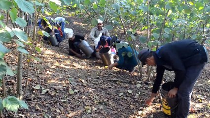 'Görevimiz daha fazla ihracat yapmak' - DÜZCE