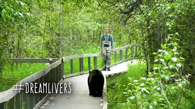 Un pêcheur fonce sur un ours la tête baissée