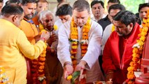 MP Election 2018:Rahul Gandhi ने Pitambara Peeth पर टेका माथा, जानें क्यों है खास | वनइंडिया हिंदी