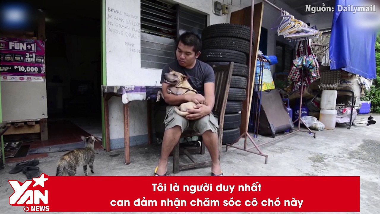 Nếu bỏ cuộc vì cuộc sống quá bất công, bạn có từng nghĩ mình yếu đuối hơn cả một chú chó không?