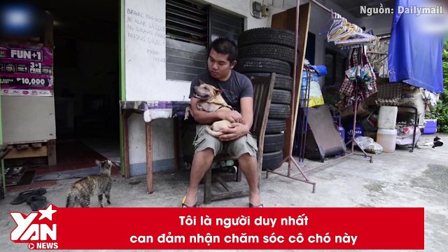 Nếu bỏ cuộc vì cuộc sống quá bất công, bạn có từng nghĩ mình yếu đuối hơn cả một chú chó không?