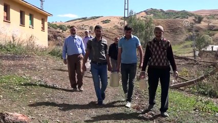 Süt ürünlerini mağarada muhafaza ediyorlar - MUŞ