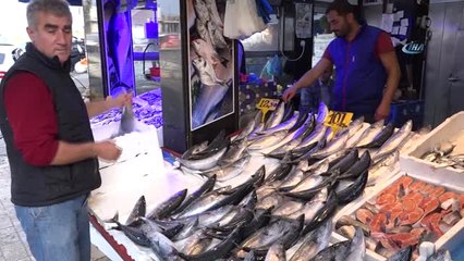 Trabzon'da Palamutta Sezonun En Verimsiz Günü Yaşanıyor