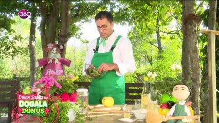 Erkan Şamcı ile Doğala Dönüş