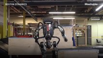 Boston Dynamics 'parkour' robot took more than 20 attempts to nail it
