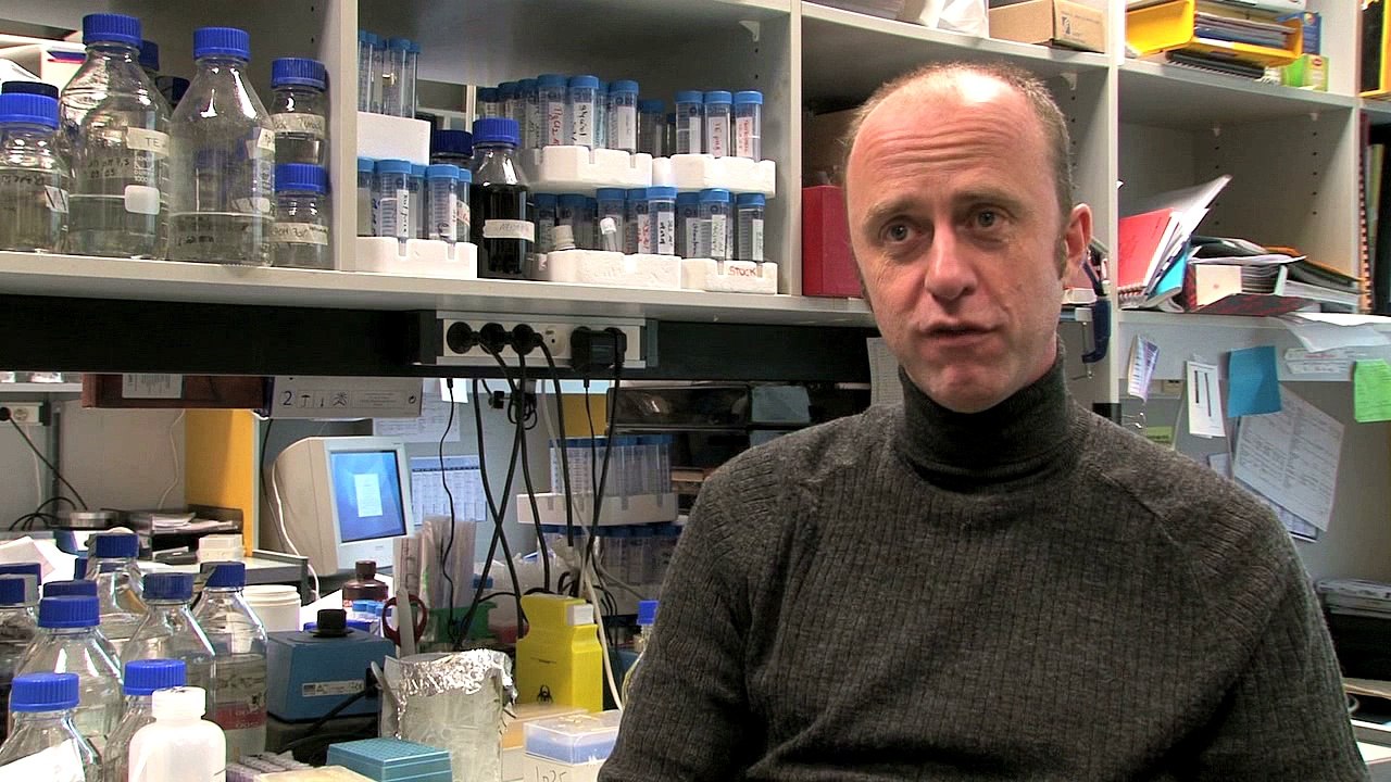 IPS, la nouvelle révolution cellulaire