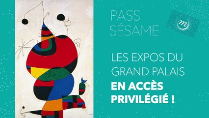Sésame : le pass-expo du Grand Palais