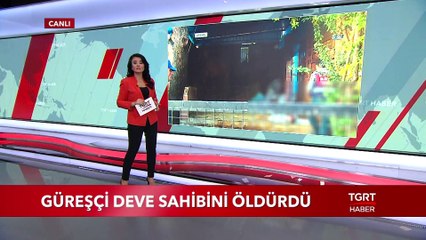 Güreşçi Deve Sahibini Öldürdü