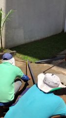 İdmanda sürpriz ziyaretçi: Yılan