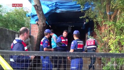 Öfkeli deve sahibini öldürdü