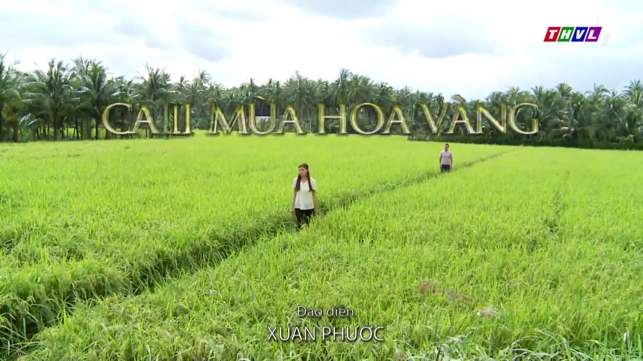 Cali Mùa Hoa Vàng Tập 27 - Phim Việt Nam