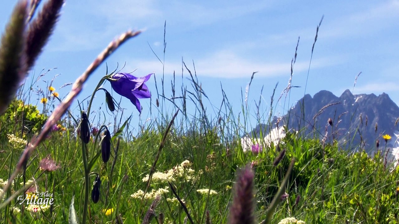 La Place du Village [S.1][E.13] - S1:E13 - Entre Col du Glandon et Col de la Croix-de-Fer (Maurienne)