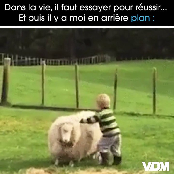 Deux salles, deux ambiances