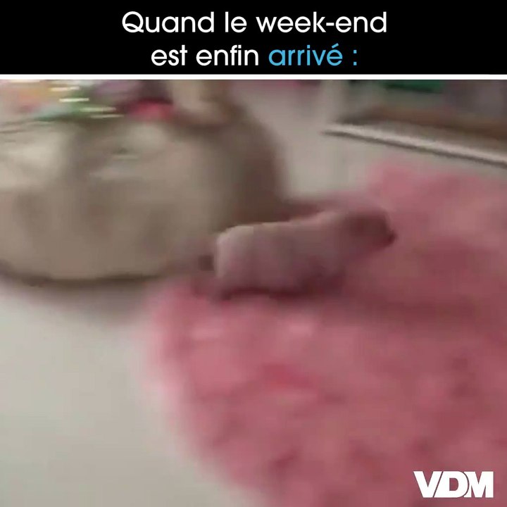 Week-end Week-end Week-end Week-end