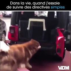 C'est pourtant pas compliqué