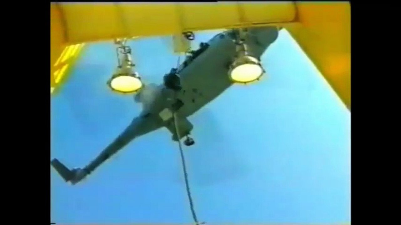 D.A.E. - FUZILEIROS ESPECIAIS