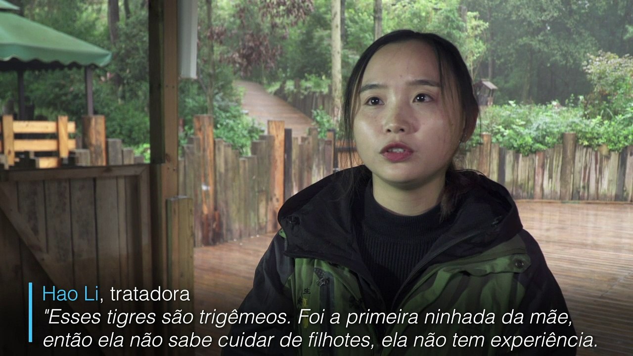 Fofura rara