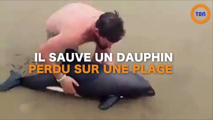 Il sauve un dauphin échoué sur une plage !