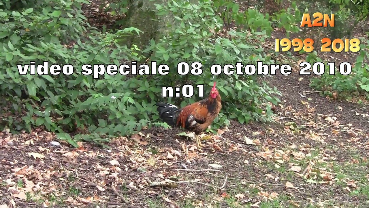 141018 renaisance 081010